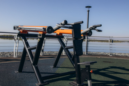 Тренажер Жим от плеч Romana 211.04.00