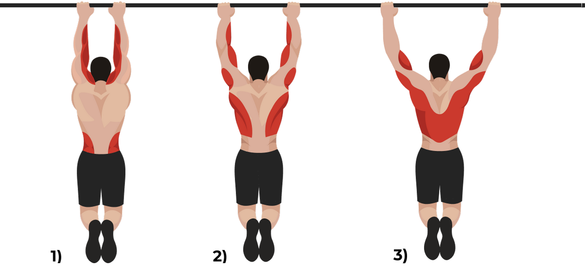 Подтягивания Подтягивания