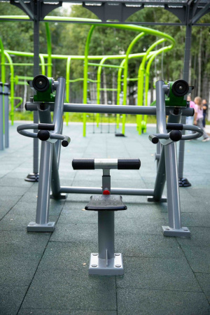 Тренажер Трицепс Romana 211.06.00