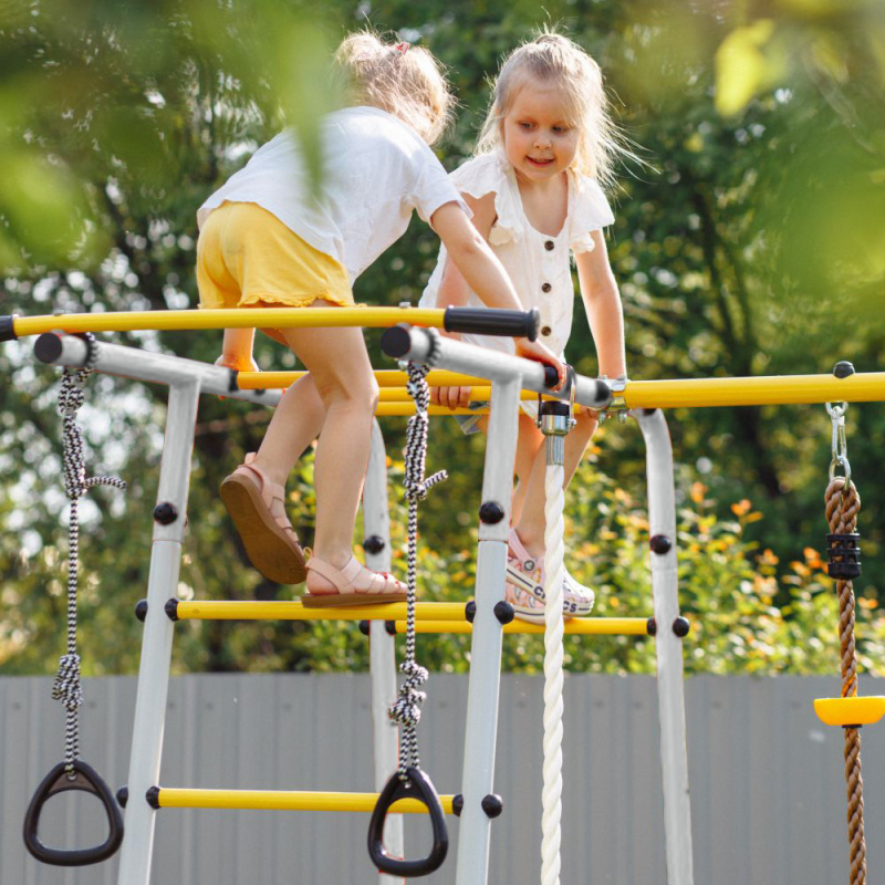 Romana Лесная поляна-3-PRO Детский спортивный комплекс для дачи (Комплект №2) в Волгограде ВИНКО