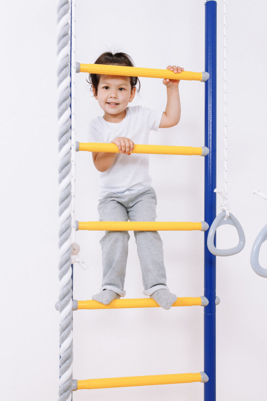 Домашний спортивный комплекс «Шведская стенка ROMANA R2» в Волгограде ВИНКО Домашний спортивный комплекс «Шведская стенка ROMANA R2» в Волгограде ВИНКО