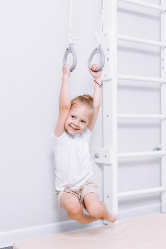 Домашний спортивный комплекс «Шведская стенка ROMANA Eco2.1» в Волгограде ВИНКО