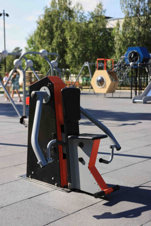 Тренажер бицепс Романа 207.44.10