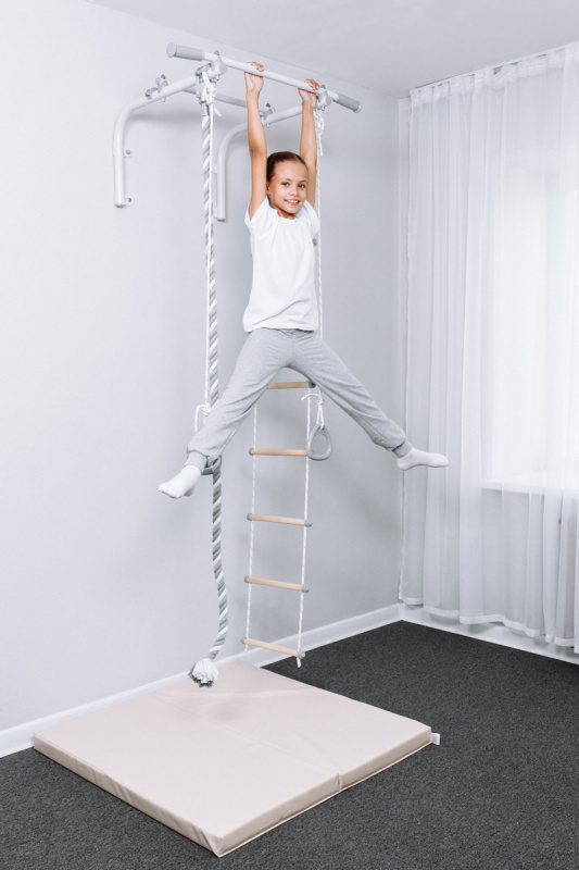 Турник настенный с навесным оборудованием ROMANA T1 в Волгограде ВИНКО