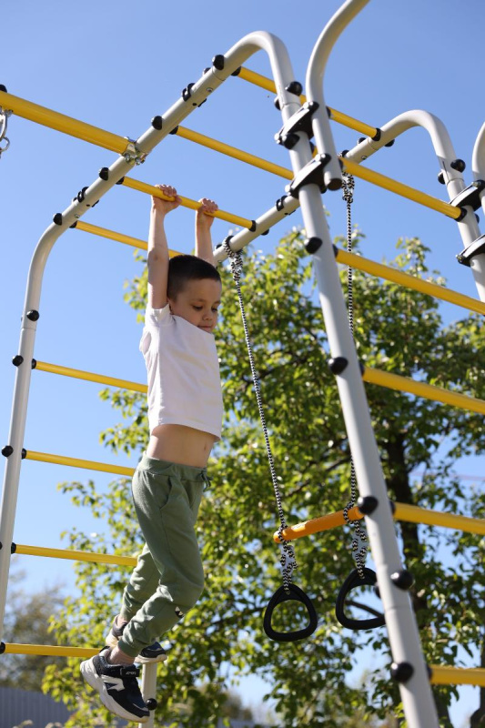 Детский спортивный комплекс для дачи ROMANA Веселая лужайка - 2 в Волгограде ВИНКО