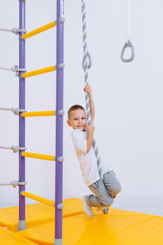 Домашний спортивный комплекс «Шведская стенка ROMANA R4» в Волгограде ВИНКО