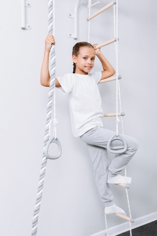 Турник настенный с навесным оборудованием ROMANA T1 в Волгограде ВИНКО