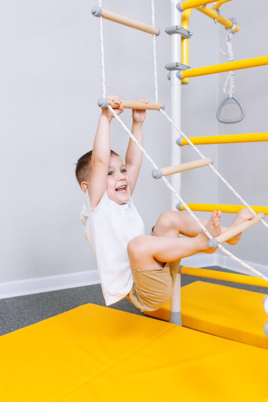 Домашний спортивный комплекс «Шведская стенка ROMANA R6» в Волгограде ВИНКО