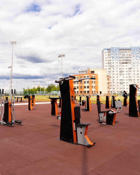 Тренажер верхняя тяга Романа 207.35.10