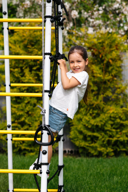 Детский спортивный комплекс для дачи ROMANA Богатырь Плюс 2 в Волгограде ВИНКО