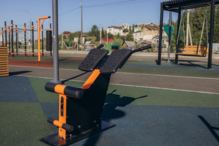 Тренажер для спины Романа 207.04.10