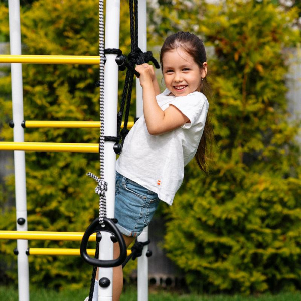 Детский спортивный комплекс для дачи ROMANA Богатырь Плюс 2 MAX в Волгограде ВИНКО