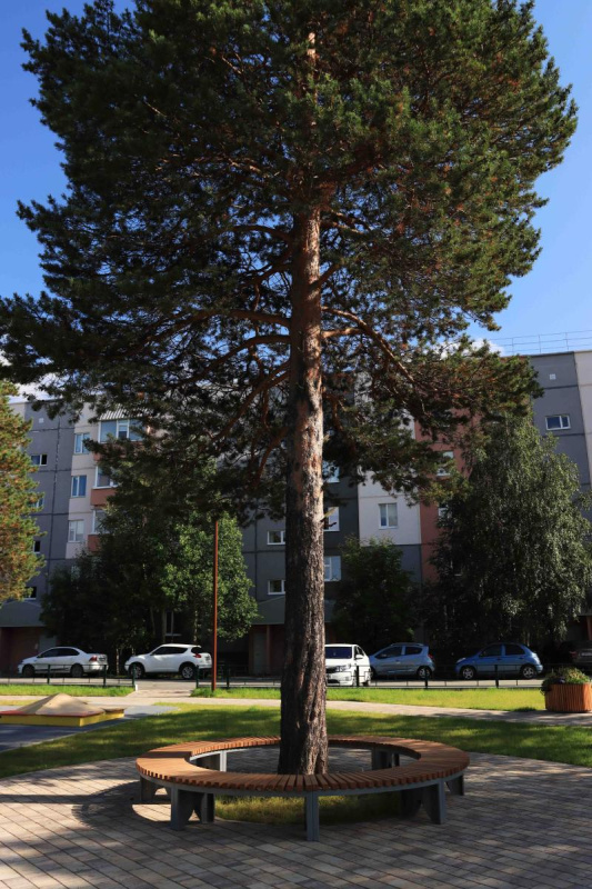 Скамья - Круг 302.45.00 в Волгограде ВИНКО