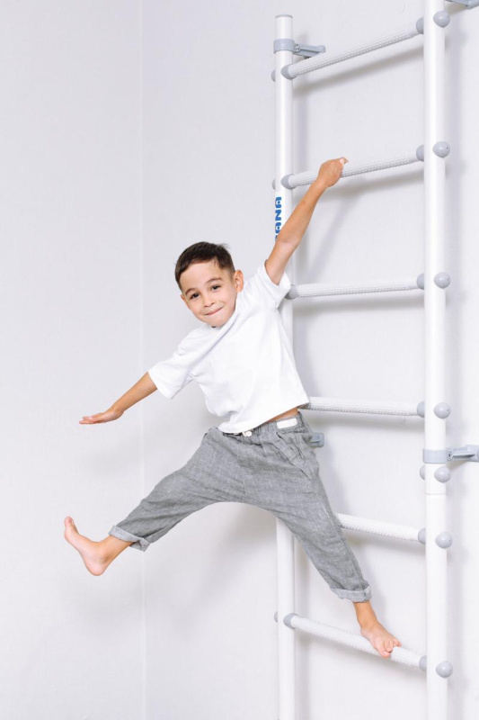 Домашний спортивный комплекс «Шведская стенка ROMANA S11» в Волгограде ВИНКО