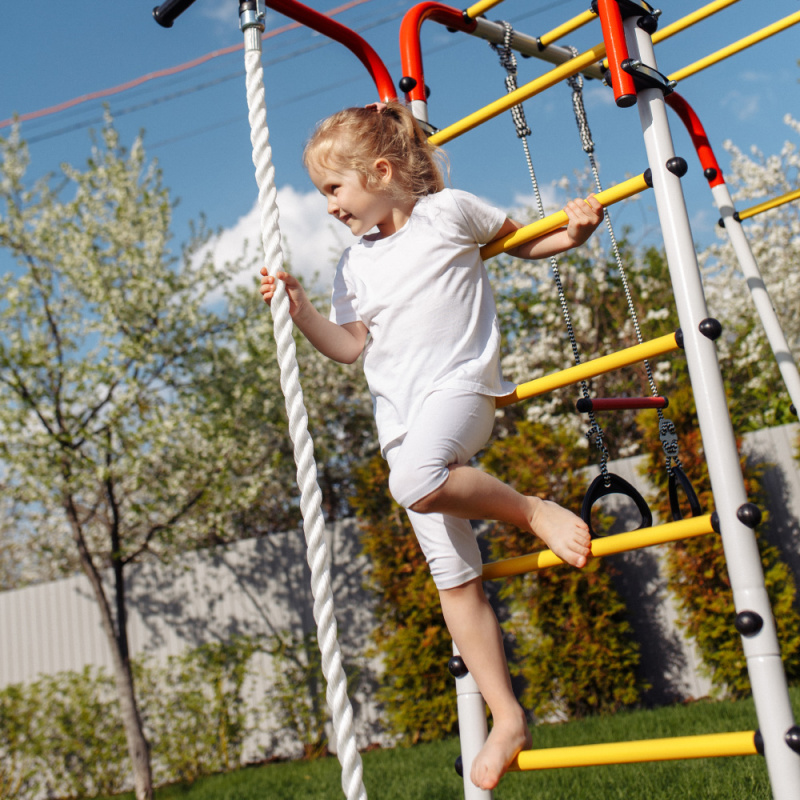 Детский спортивный комплекс для дачи ROMANA Акробат - 2 в Волгограде ВИНКО