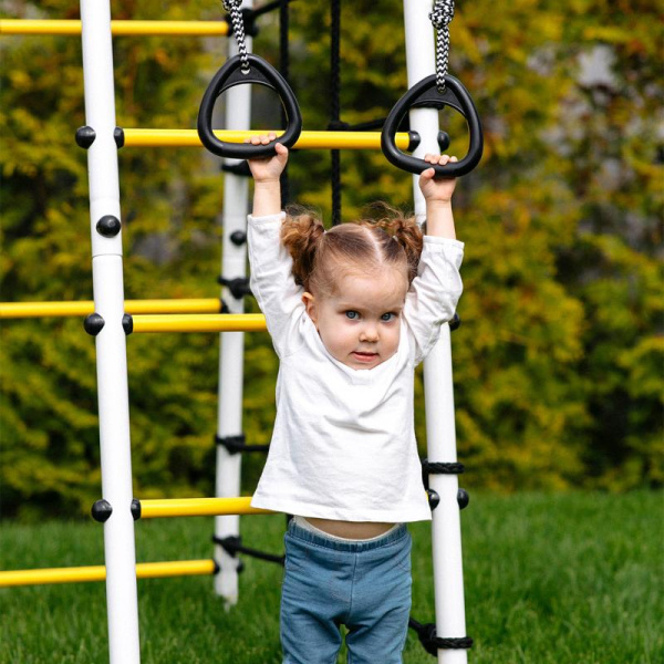 Детский спортивный комплекс для дачи ROMANA Богатырь Плюс 2 MAX в Волгограде ВИНКО