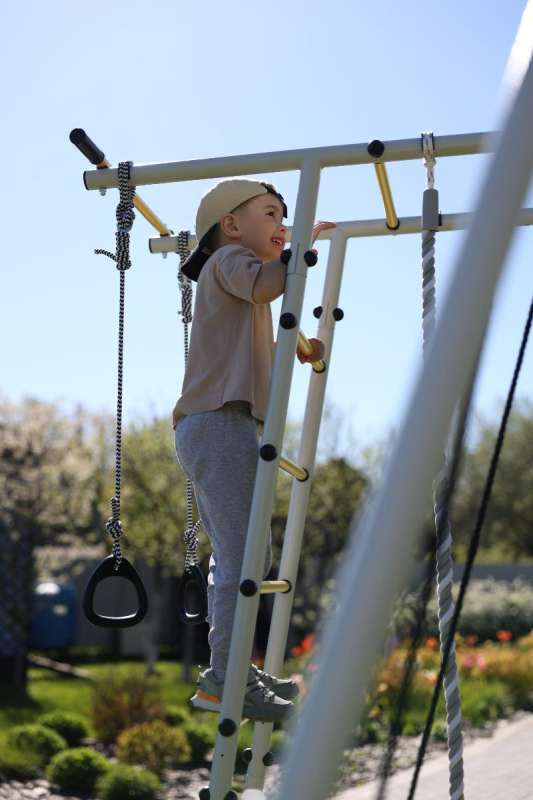 Детский спортивный комплекс для дачи ROMANA Лесная поляна - 3 в Волгограде ВИНКО