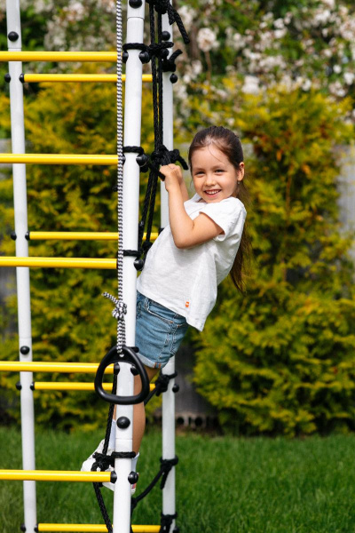 Детский спортивный комплекс для дачи ROMANA Богатырь MAX в Волгограде ВИНКО